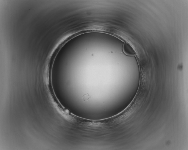 X0000097981131200803241253