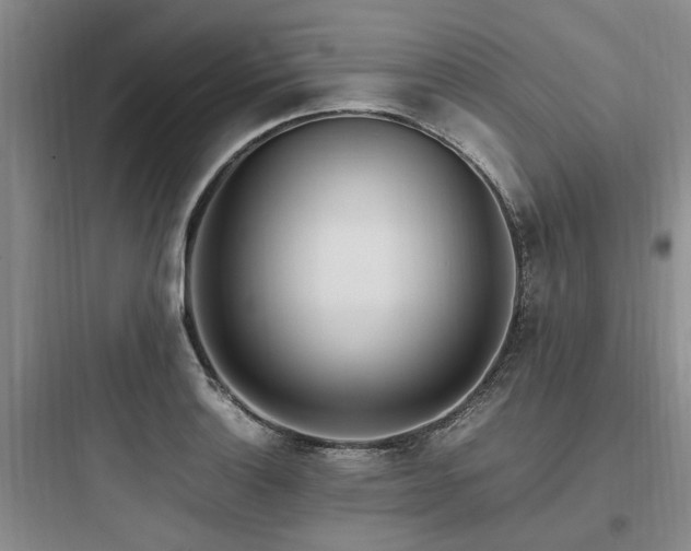 X0000097981132200803241253