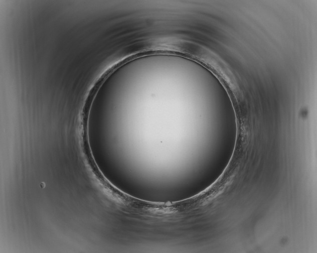 X0000097981133200803241253