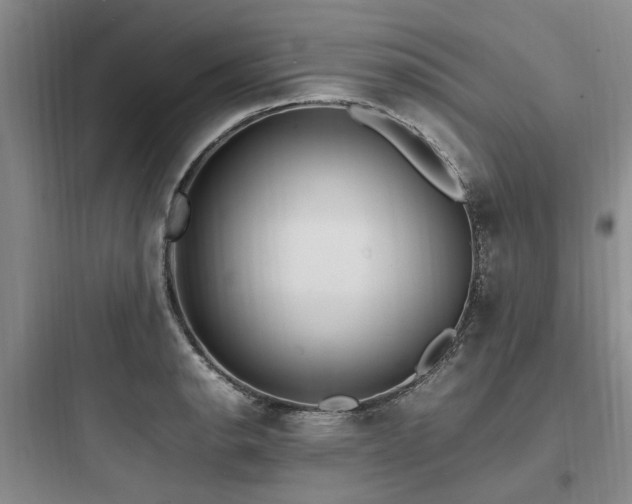 X0000097981134200803241253