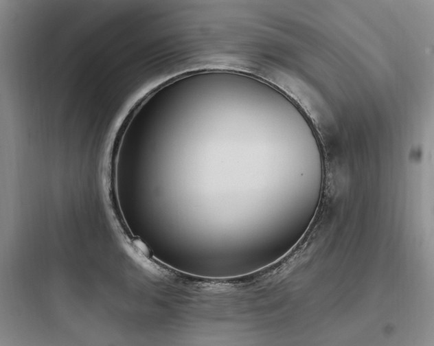 X0000097981136200803241253