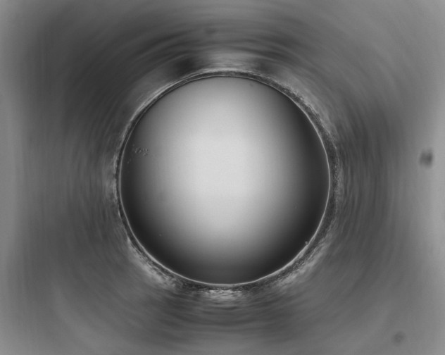 X0000097981137200803241253