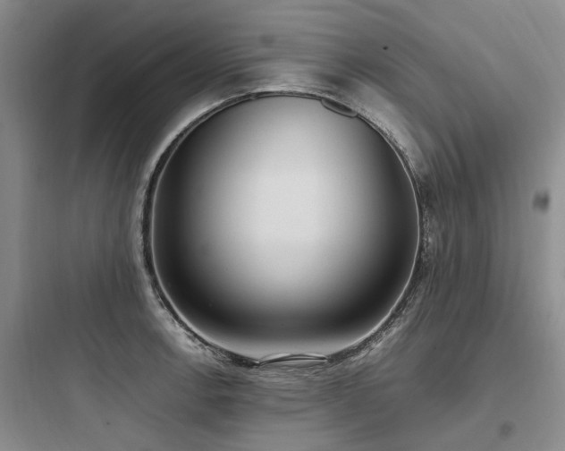 X0000097981138200803241253