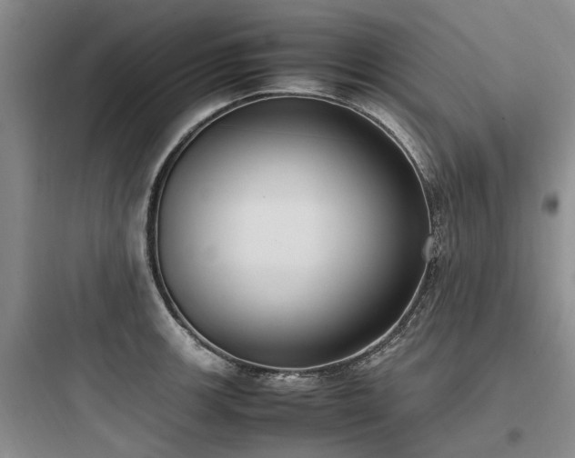 X0000097981139200803241253