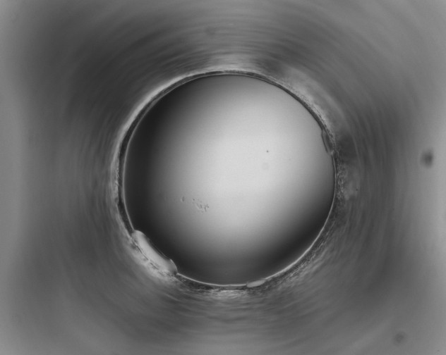 X0000097981140200803241253