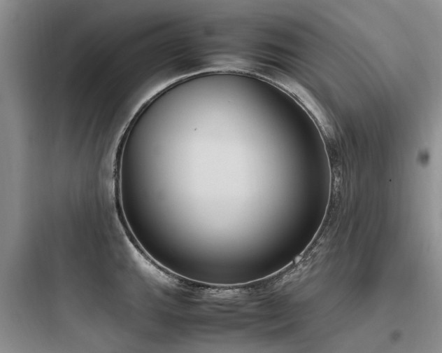X0000097981143200803241253