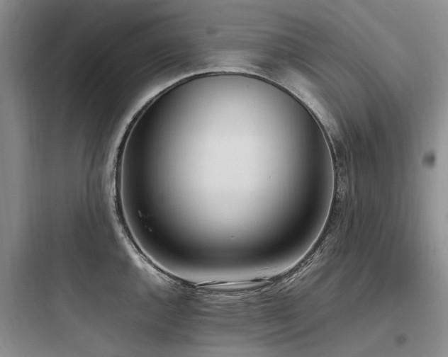 X0000097981144200803241253