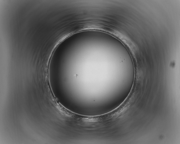 X0000097981145200803241253