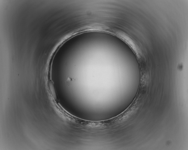 X0000097981146200803241253