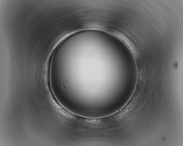 X0000097981147200803241253