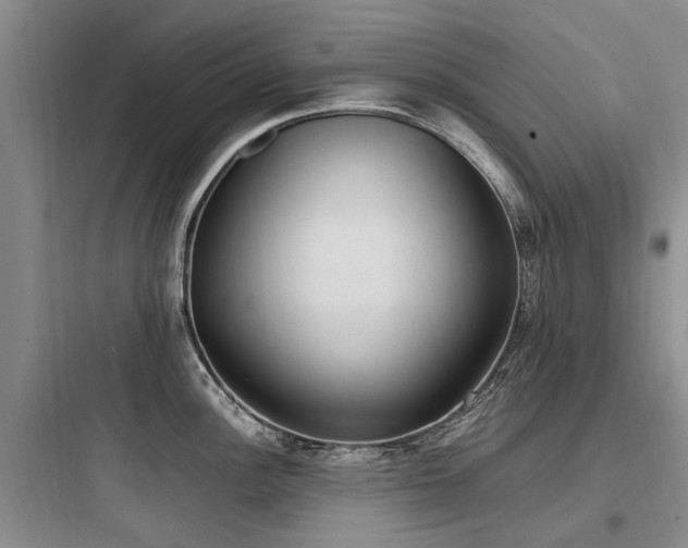 X0000097981148200803241253