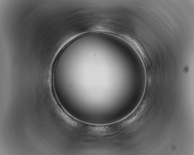X0000097981149200803241253