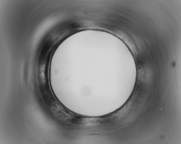 X0000097981150200803241253