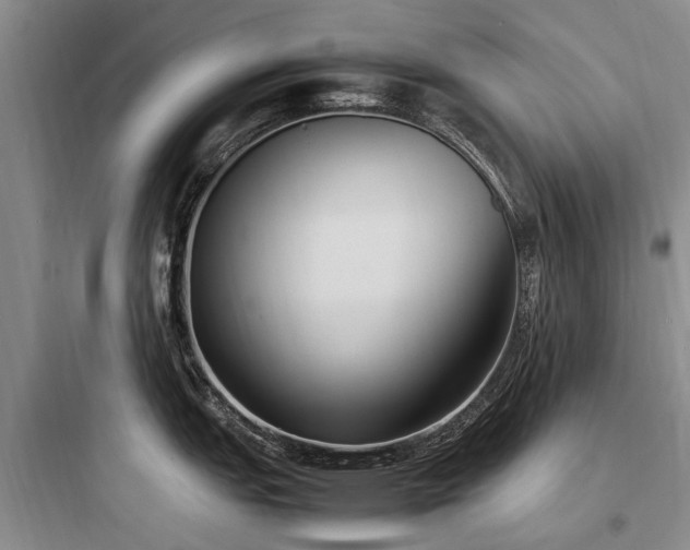 X0000097981151200803241253
