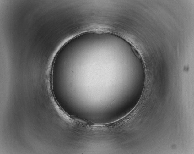 X0000097981152200803241253