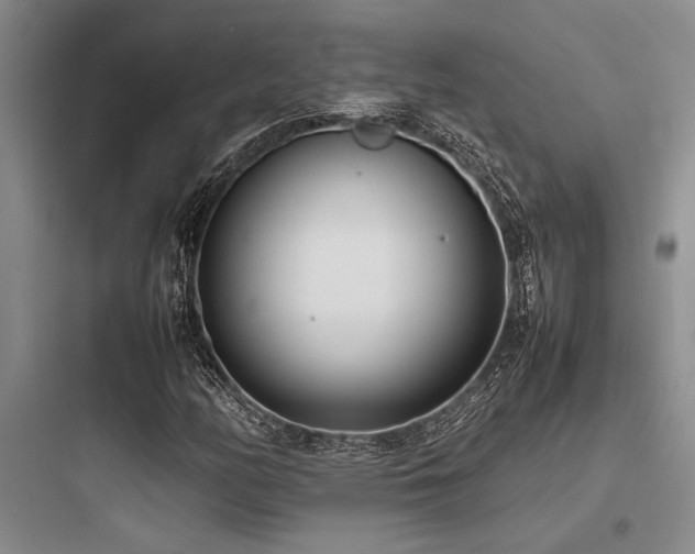 X0000097981158200803241252