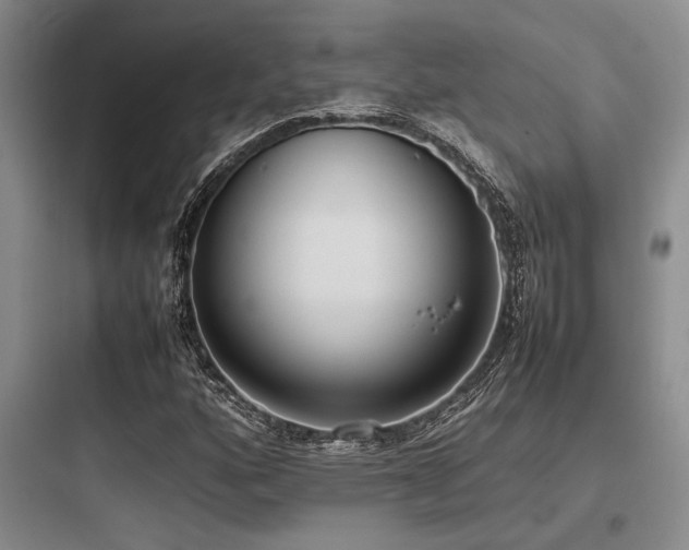 X0000097981160200803241252
