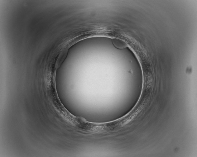 X0000097981161200803241252