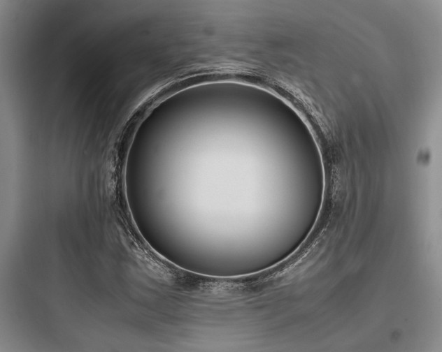 X0000097981163200803241252