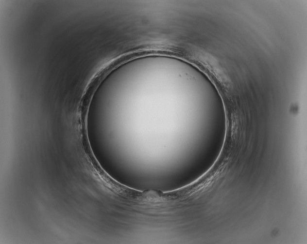 X0000097981164200803241252