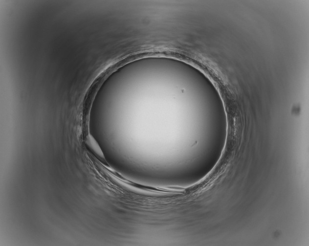 X0000097981165200803241252