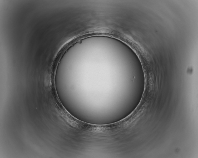X0000097981166200803241252