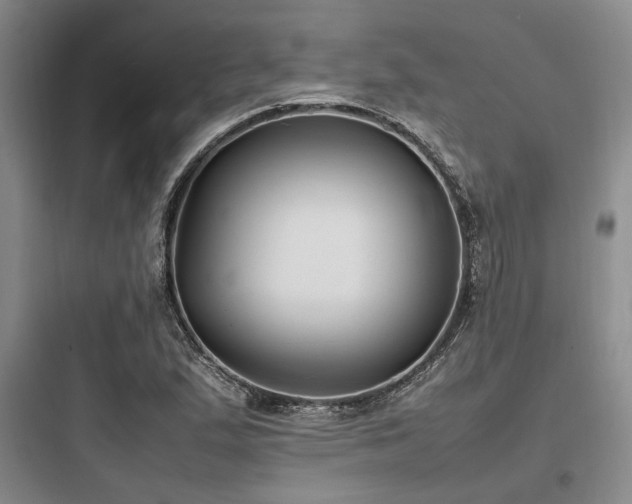 X0000097981167200803241252