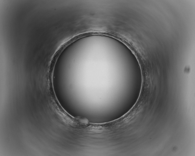 X0000097981168200803241252