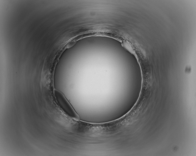 X0000097981169200803241252