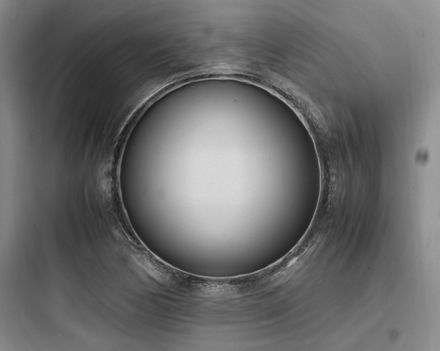 X0000097981170200803241252