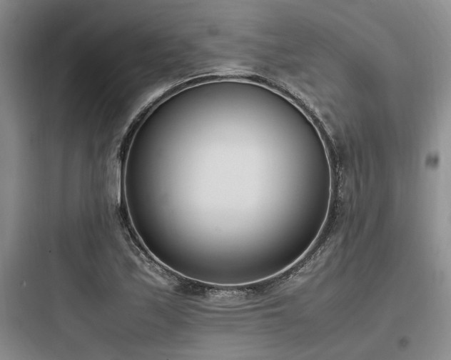 X0000097981171200803241252