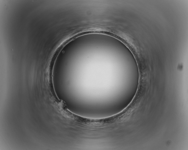 X0000097981173200803241252