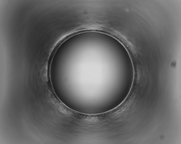 X0000097981174200803241252