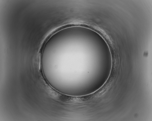 X0000097981175200803241252