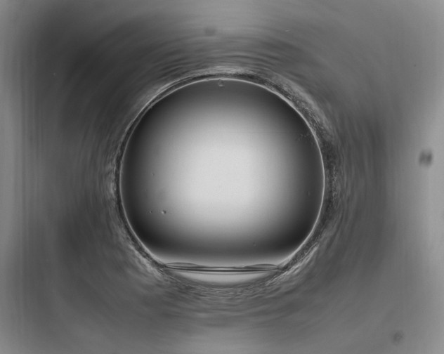 X0000097981177200803241252