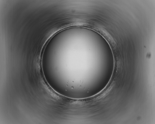 X0000097981178200803241252