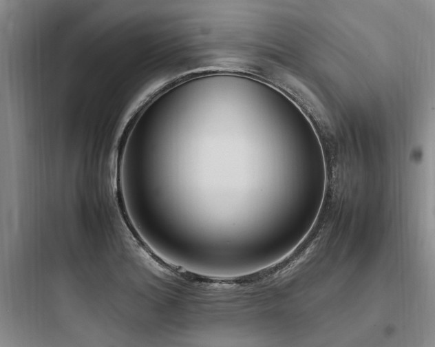 X0000097981180200803241252