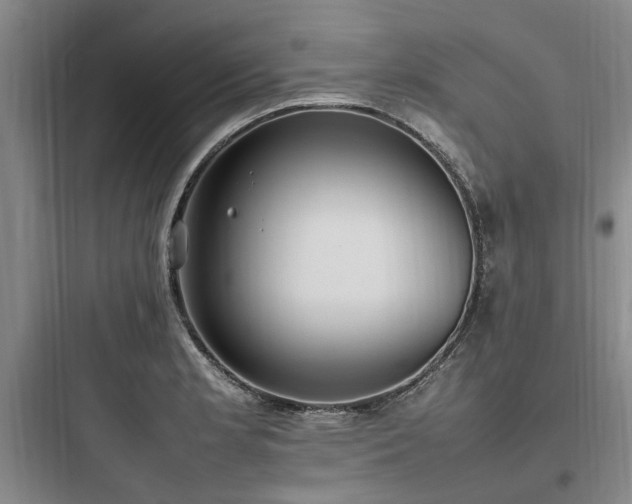 X0000097981181200803241252