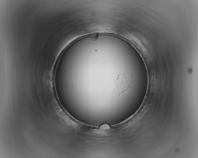 X0000097981182200803241252