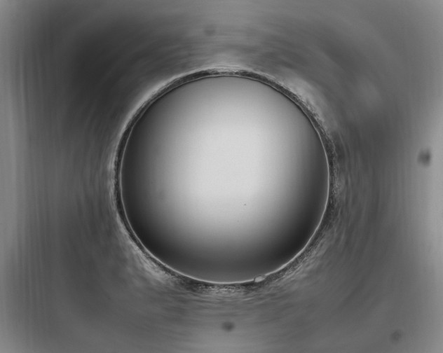 X0000097981183200803241252