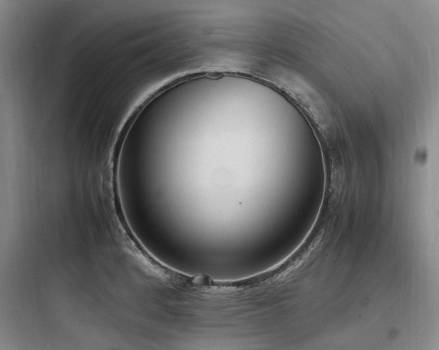 X0000097981184200803241252