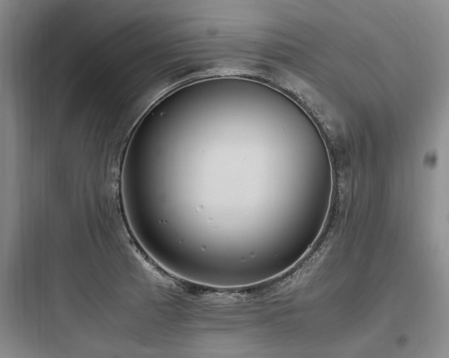 X0000097981185200803241252