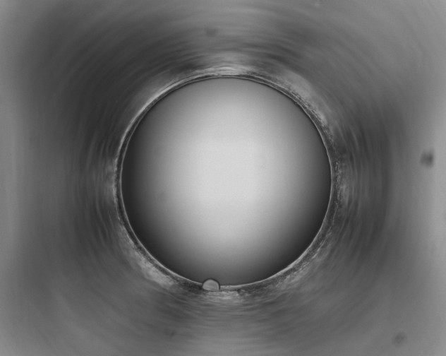 X0000097981186200803241252