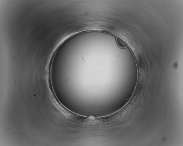 X0000097981187200803241252