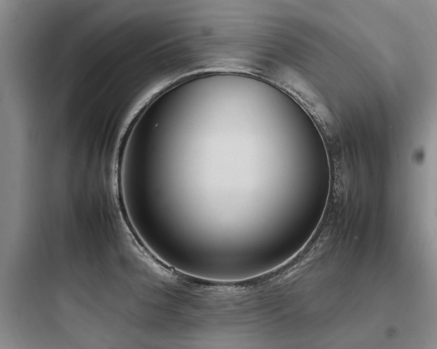 X0000097981188200803241252