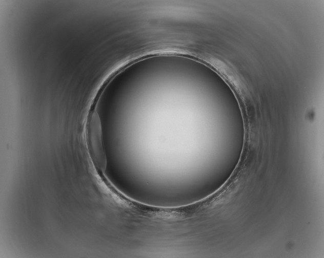 X0000097981189200803241252