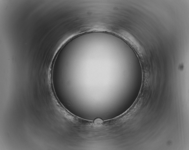 X0000097981190200803241252