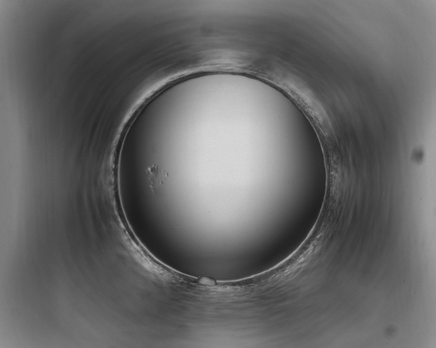 X0000097981192200803241252