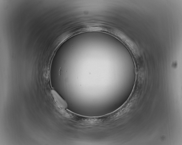 X0000097981193200803241252