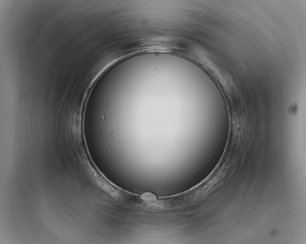 X0000097981194200803241252